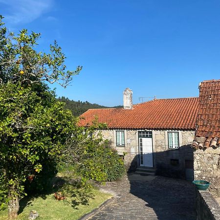 Casa Do Carqueijo Villa Vila Praia de Ancora Ngoại thất bức ảnh