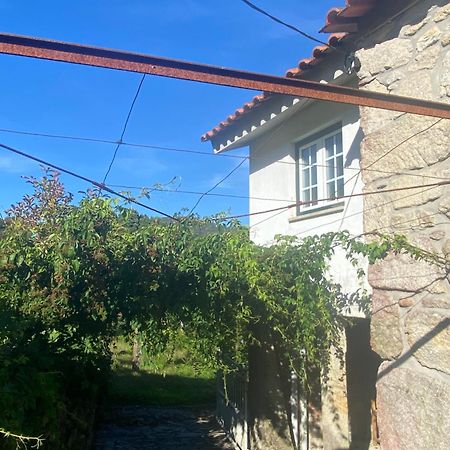Casa Do Carqueijo Villa Vila Praia de Ancora Ngoại thất bức ảnh